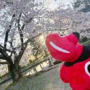 有馬めぐ ますかるのゆあふるふるる🪞 川崎人妻城