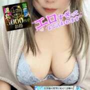 ヒメ日記 2024/12/24 19:02 投稿 渋谷（しぶや） 丸妻 錦糸町店