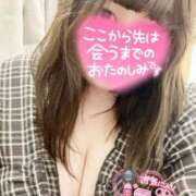 ヒメ日記 2025/04/01 07:45 投稿 渋谷（しぶや） 丸妻 錦糸町店