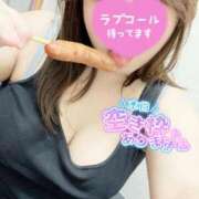 ヒメ日記 2025/04/10 07:00 投稿 渋谷（しぶや） 丸妻 錦糸町店