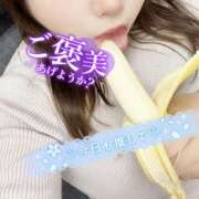 ヒメ日記 2025/05/13 08:53 投稿 渋谷（しぶや） 丸妻 錦糸町店