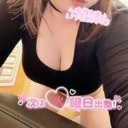 ヒメ日記 2026/02/20 05:53 投稿 渋谷（しぶや） 丸妻 錦糸町店