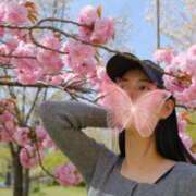 ヒメ日記 2025/05/04 14:33 投稿 しおり THE ESUTE 五反田店