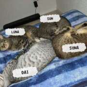 ヒメ日記 2025/08/01 10:02 投稿 なみ 多恋人倶楽部　宇部店