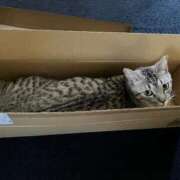 ヒメ日記 2025/08/04 07:27 投稿 なみ 多恋人倶楽部　宇部店