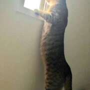 ヒメ日記 2025/08/11 15:15 投稿 なみ 多恋人倶楽部　宇部店