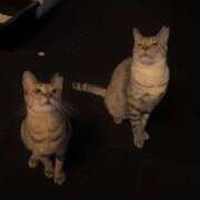 ヒメ日記 2025/09/02 14:12 投稿 なみ 多恋人倶楽部　宇部店