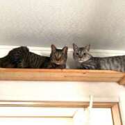 ヒメ日記 2025/10/14 12:02 投稿 なみ 多恋人倶楽部　宇部店