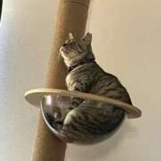 ヒメ日記 2025/12/18 13:35 投稿 なみ 多恋人倶楽部　宇部店