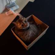 ヒメ日記 2026/01/07 07:00 投稿 なみ 多恋人倶楽部　宇部店