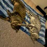 ヒメ日記 2026/01/09 07:37 投稿 なみ 多恋人倶楽部　宇部店