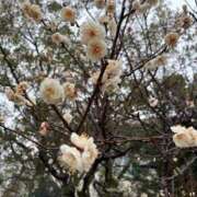 ヒメ日記 2026/02/15 15:02 投稿 なみ 多恋人倶楽部　宇部店