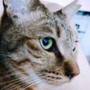 ヒメ日記 2026/03/19 07:01 投稿 なみ 多恋人倶楽部　宇部店