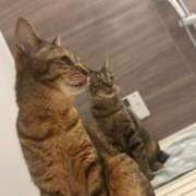 ヒメ日記 2026/03/27 12:31 投稿 なみ 多恋人倶楽部　宇部店