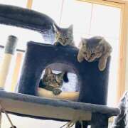 ヒメ日記 2026/04/05 21:48 投稿 なみ 多恋人倶楽部　宇部店