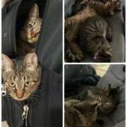 ヒメ日記 2026/04/12 22:50 投稿 なみ 多恋人倶楽部　宇部店