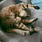 ヒメ日記 2026/04/15 15:43 投稿 なみ 多恋人倶楽部　宇部店