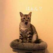 ヒメ日記 2026/04/21 18:01 投稿 なみ 多恋人倶楽部　宇部店