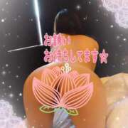 ヒメ日記 2025/04/28 21:56 投稿 桜井 熟女の風俗最終章 新横浜店