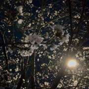 ヒメ日記 2025/03/31 18:00 投稿 笑利の女神ーしょうりのめがみー グッドスマイル