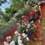 ヒメ日記 2025/07/20 12:00 投稿 笑利の女神ーしょうりのめがみー グッドスマイル