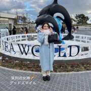 ヒメ日記 2025/11/11 12:00 投稿 笑利の女神ーしょうりのめがみー グッドスマイル