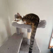 ヒメ日記 2025/01/10 19:56 投稿 える Triple Pink(トリプルピンク)