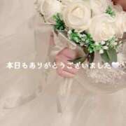 ヒメ日記 2025/04/05 22:27 投稿 しおん コスパラ(梅田)