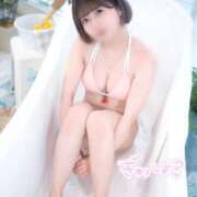 ヒメ日記 2025/01/24 14:47 投稿 ましろ ジャパンクラブ富士