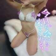 ヒメ日記 2024/12/17 20:07 投稿 わか バニラシュガー久喜店