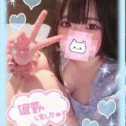 ヒメ日記 2025/04/15 17:41 投稿 浅丘 莉那 超LEXUS