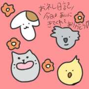 ヒメ日記 2025/05/02 21:51 投稿 浅丘 莉那 超LEXUS