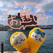 ヒメ日記 2025/05/16 18:21 投稿 浅丘 莉那 超LEXUS