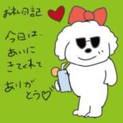 ヒメ日記 2025/08/06 22:41 投稿 浅丘 莉那 超LEXUS