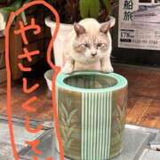 ヒメ日記 2025/09/16 17:31 投稿 浅丘 莉那 超LEXUS