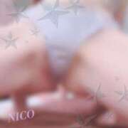 ヒメ日記 2024/12/19 06:00 投稿 彩芽 ニコ プルプルハウス