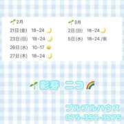 ヒメ日記 2025/02/20 16:15 投稿 彩芽 ニコ プルプルハウス