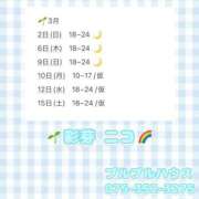 ヒメ日記 2025/02/28 10:01 投稿 彩芽 ニコ プルプルハウス