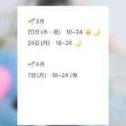 ヒメ日記 2025/03/20 10:15 投稿 彩芽 ニコ プルプルハウス