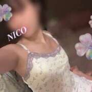 ヒメ日記 2025/09/11 17:10 投稿 彩芽 ニコ プルプルハウス