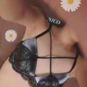 ヒメ日記 2025/11/15 12:03 投稿 彩芽 ニコ プルプルハウス