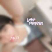 ヒメ日記 2025/12/10 09:01 投稿 彩芽 ニコ プルプルハウス