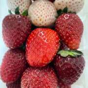 ヒメ日記 2025/03/03 16:45 投稿 相川【あいかわ】 丸妻 西船橋店