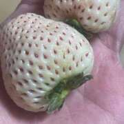 ヒメ日記 2025/03/08 10:51 投稿 相川【あいかわ】 丸妻 西船橋店