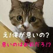 ヒメ日記 2025/03/28 11:45 投稿 相川【あいかわ】 丸妻 西船橋店