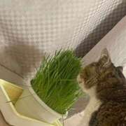 ヒメ日記 2025/06/21 20:28 投稿 相川【あいかわ】 丸妻 西船橋店