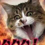 ヒメ日記 2025/06/27 10:43 投稿 相川【あいかわ】 丸妻 西船橋店