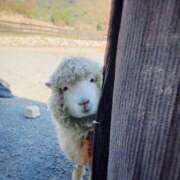 ヒメ日記 2025/07/22 17:05 投稿 相川【あいかわ】 丸妻 西船橋店