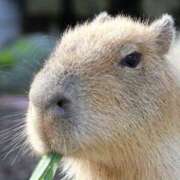 ヒメ日記 2025/07/27 10:16 投稿 相川【あいかわ】 丸妻 西船橋店