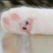 ヒメ日記 2025/07/31 08:59 投稿 相川【あいかわ】 丸妻 西船橋店